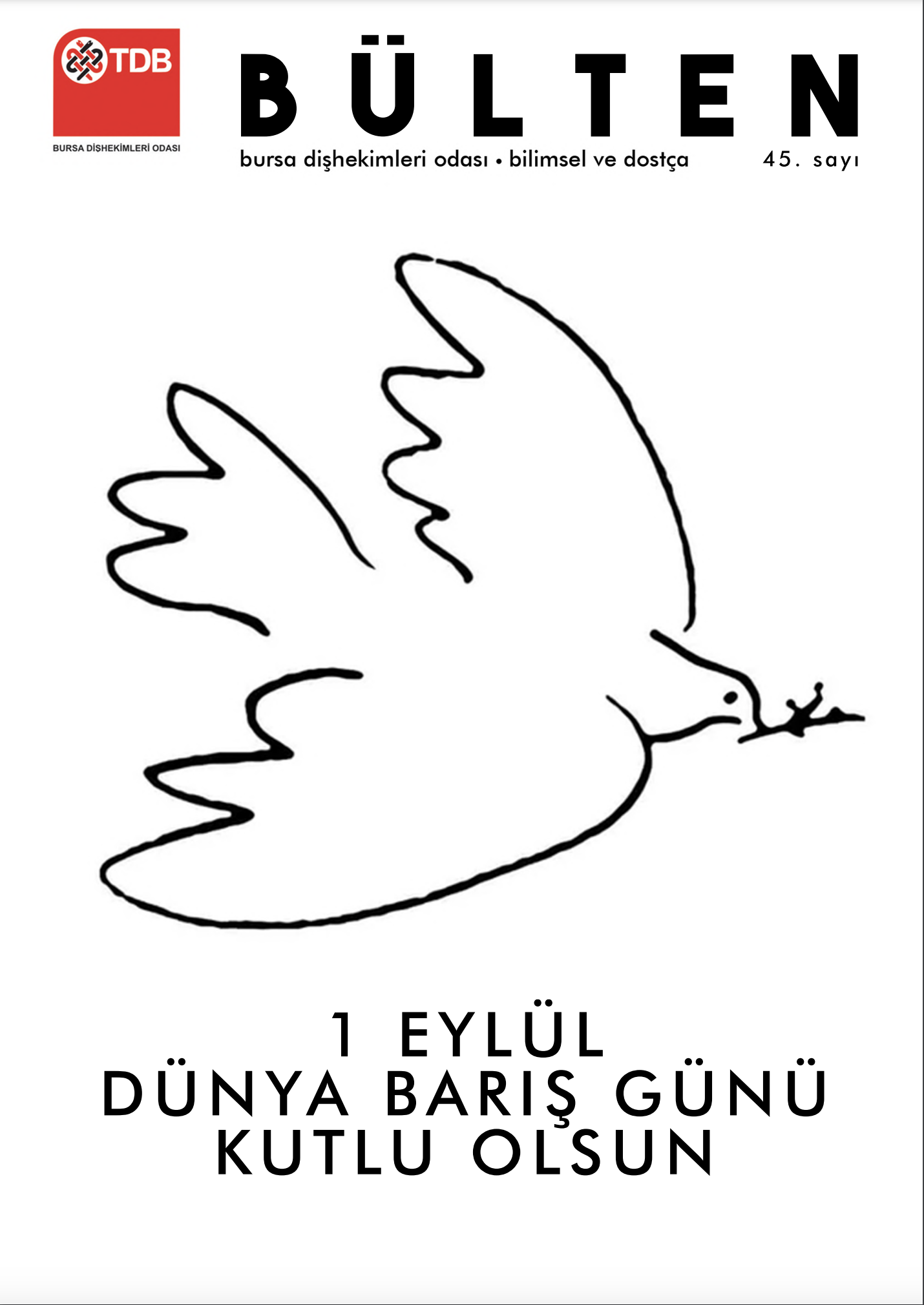 BDO BÜLTEN 45. SAYI