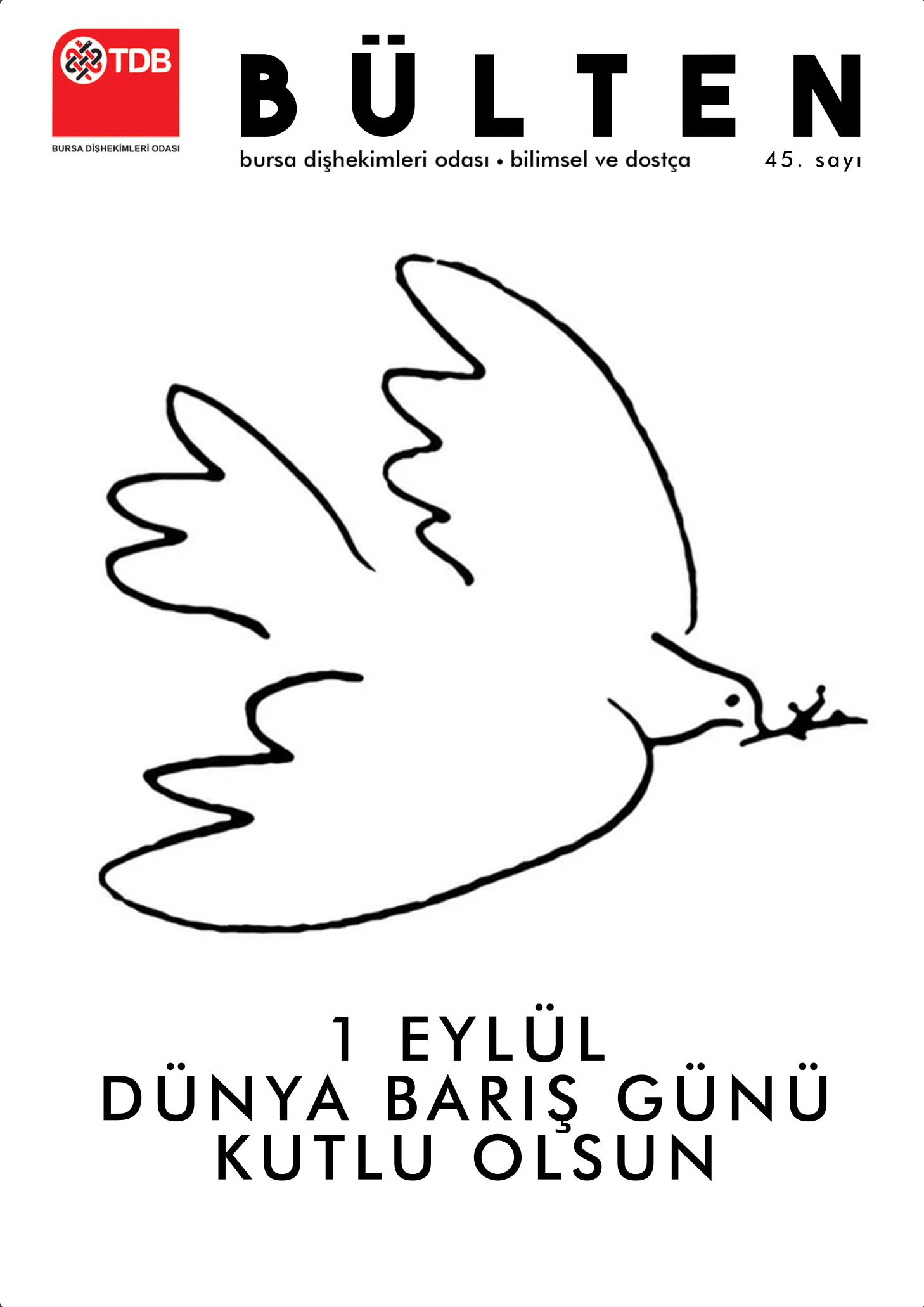 BDO BÜLTEN 46. SAYI